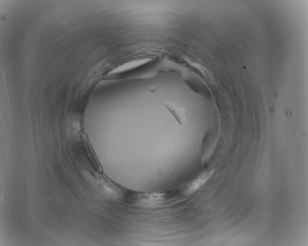 X0000076450288200610202342