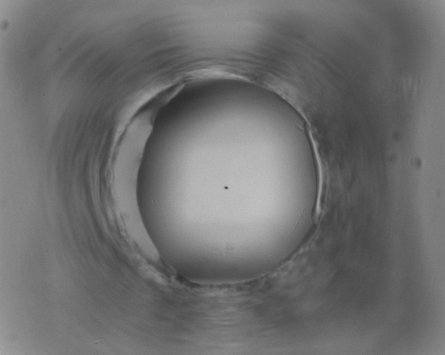 X0000076450289200610202342