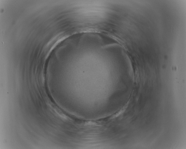 X0000076450290200610202342