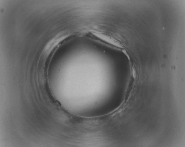 X0000076450291200610202342