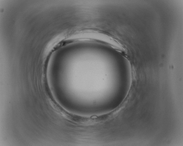 X0000076450293200610202342