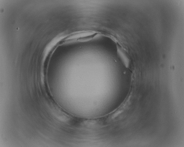 X0000076450294200610202341