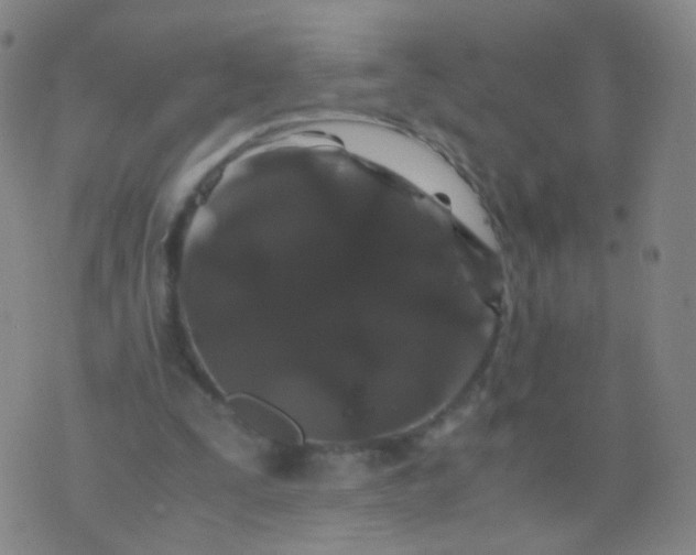 X0000076450295200610202341