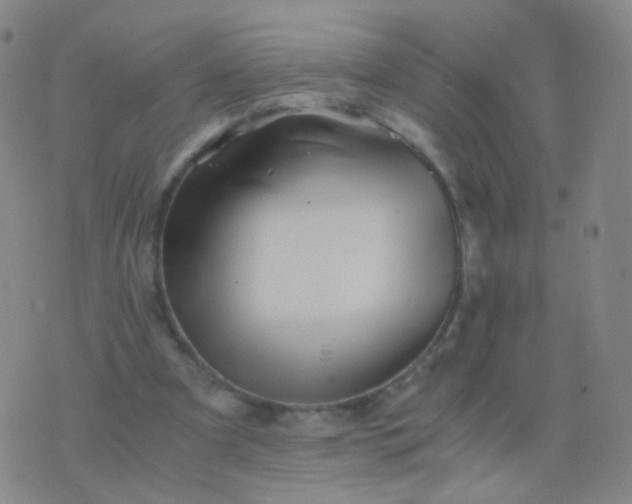 X0000076450297200610202341