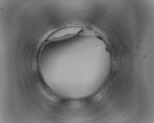 X0000076450298200610202341