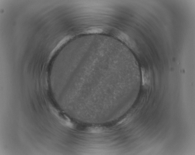 X0000076450300200610202341