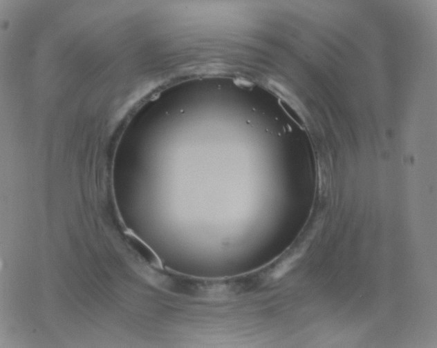 X0000076450301200610202341