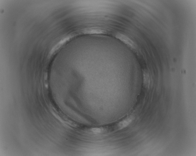 X0000076450302200610202341