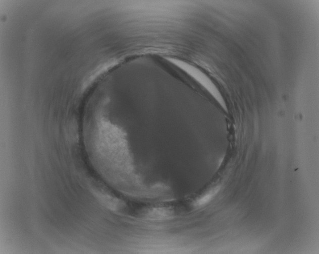 X0000076450303200610202341