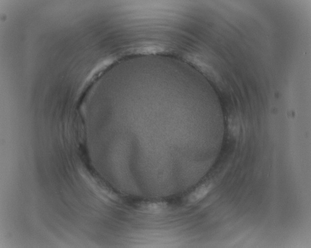 X0000076450304200610202341