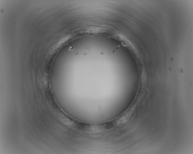 X0000076450305200610202341