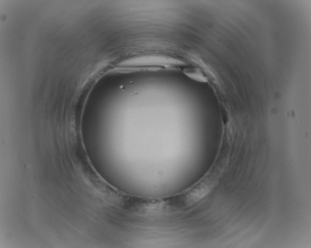 X0000076450306200610202341