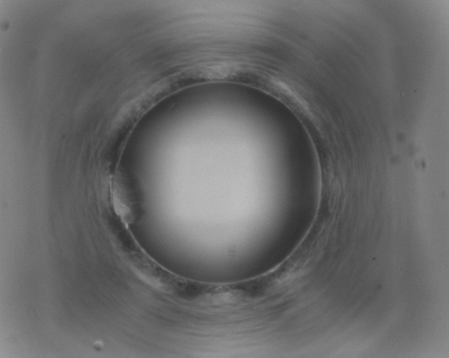 X0000076450307200610202341