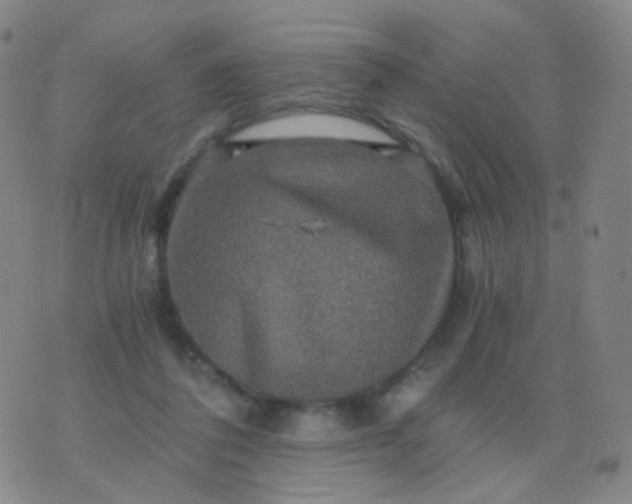 X0000076450308200610202341