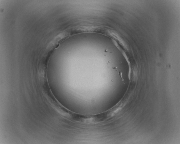 X0000076450309200610202341