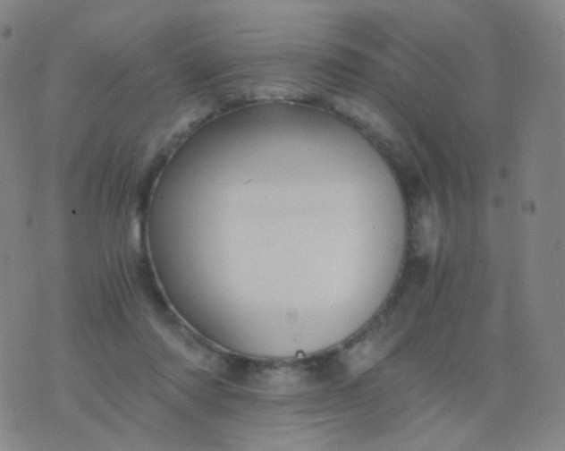 X0000076450310200610202341