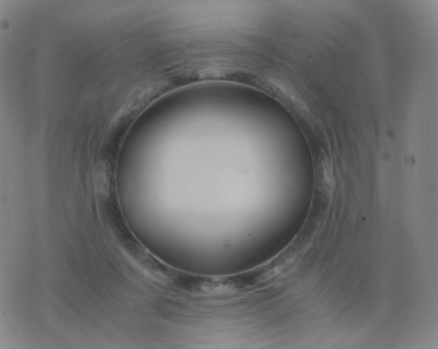 X0000076450311200610202341