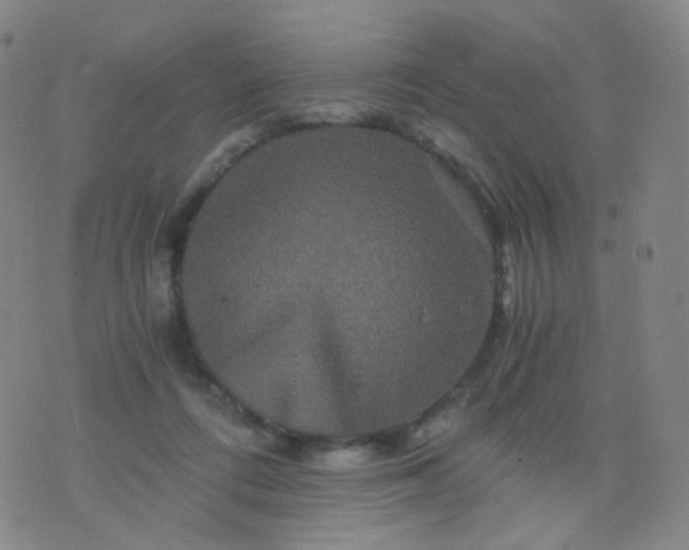 X0000076450312200610202341