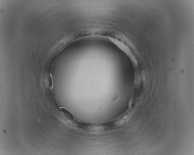 X0000076450313200610202341