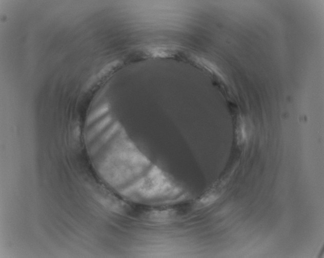 X0000076450314200610202341