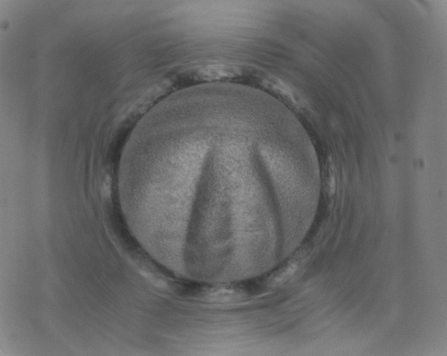 X0000076450315200610202341