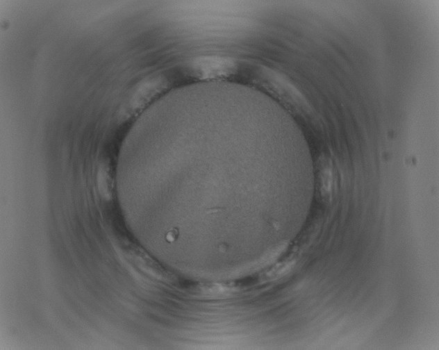 X0000076450316200610202341