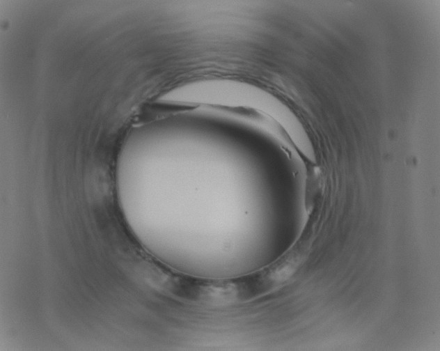 X0000076450317200610202341