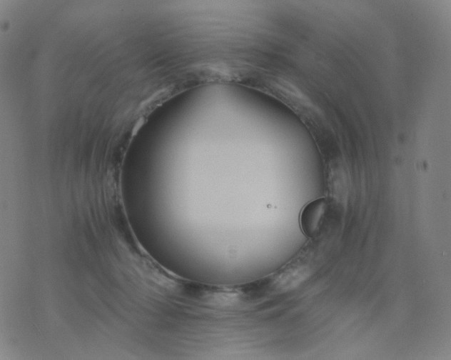 X0000076450318200610202341