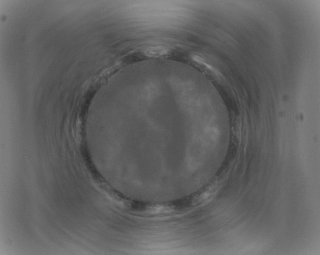 X0000076450319200610202341