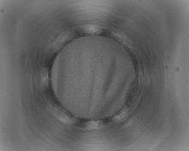 X0000076450320200610202341