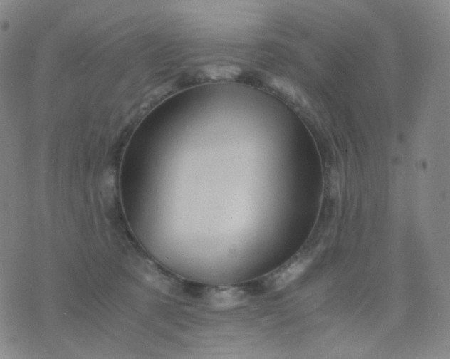 X0000076450321200610202341