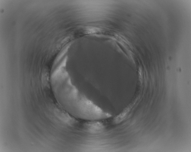 X0000076450322200610202341