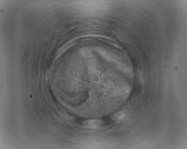 X0000076450323200610202341