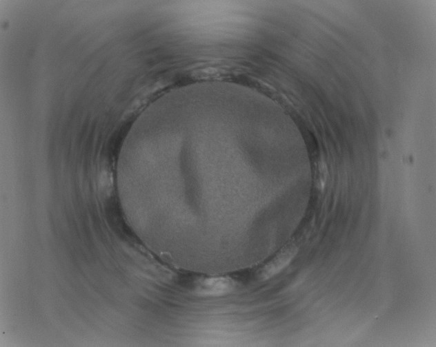 X0000076450324200610202341