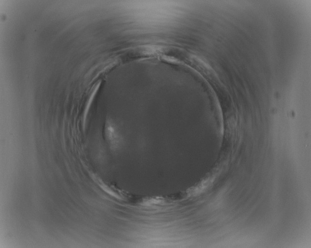 X0000076450325200610202341