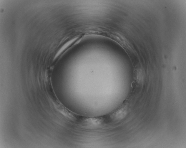 X0000076450326200610202341