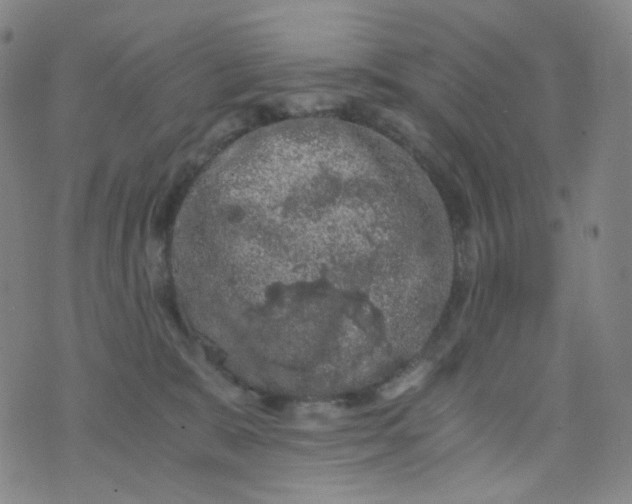 X0000076450327200610202341