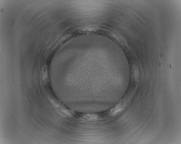 X0000076450328200610202341