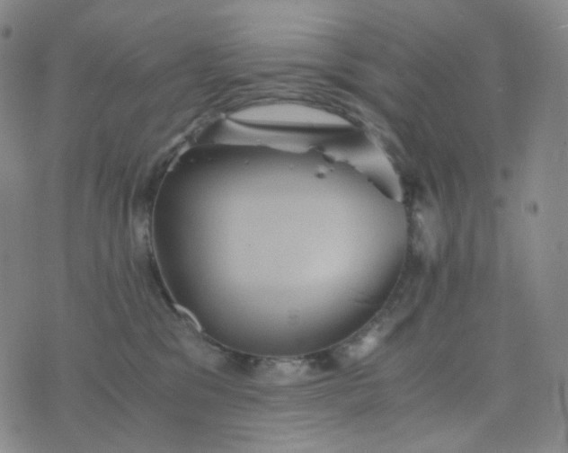 X0000076450329200610202341