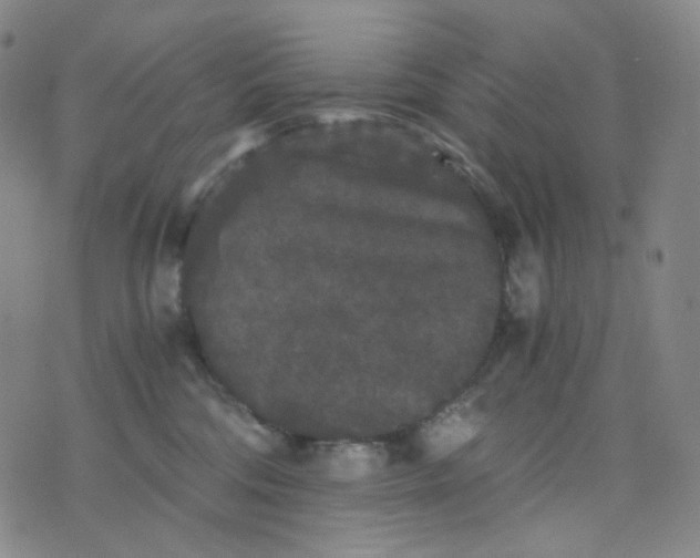 X0000076450330200610202341