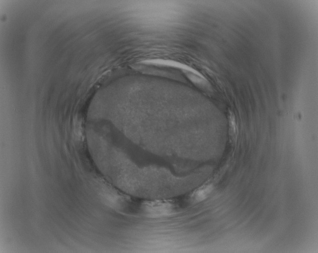 X0000076450331200610202341