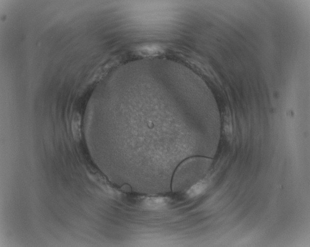 X0000076450332200610202341