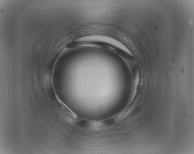 X0000076450333200610202341