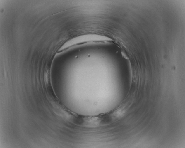 X0000076450334200610202341