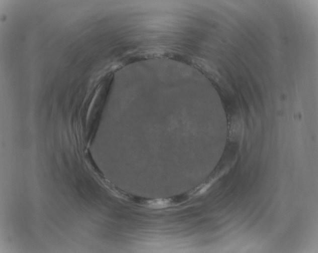 X0000076450335200610202341