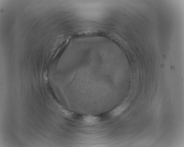 X0000076450336200610202341