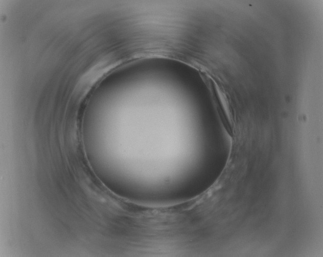 X0000076450338200610202340