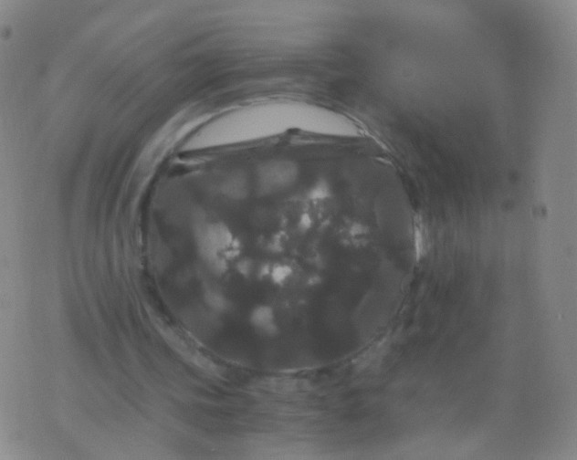 X0000076450339200610202340