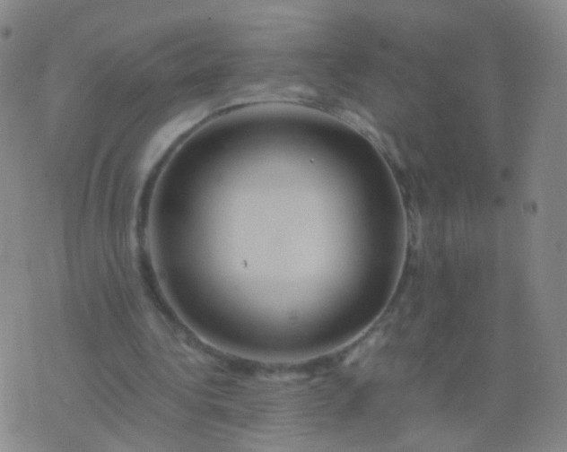 X0000076450340200610202340