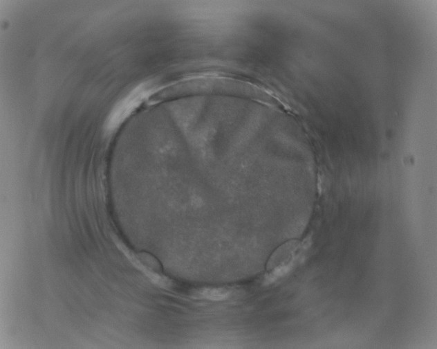 X0000076450341200610202340